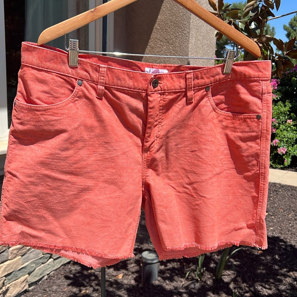 Fun shorts from Carve Designs
